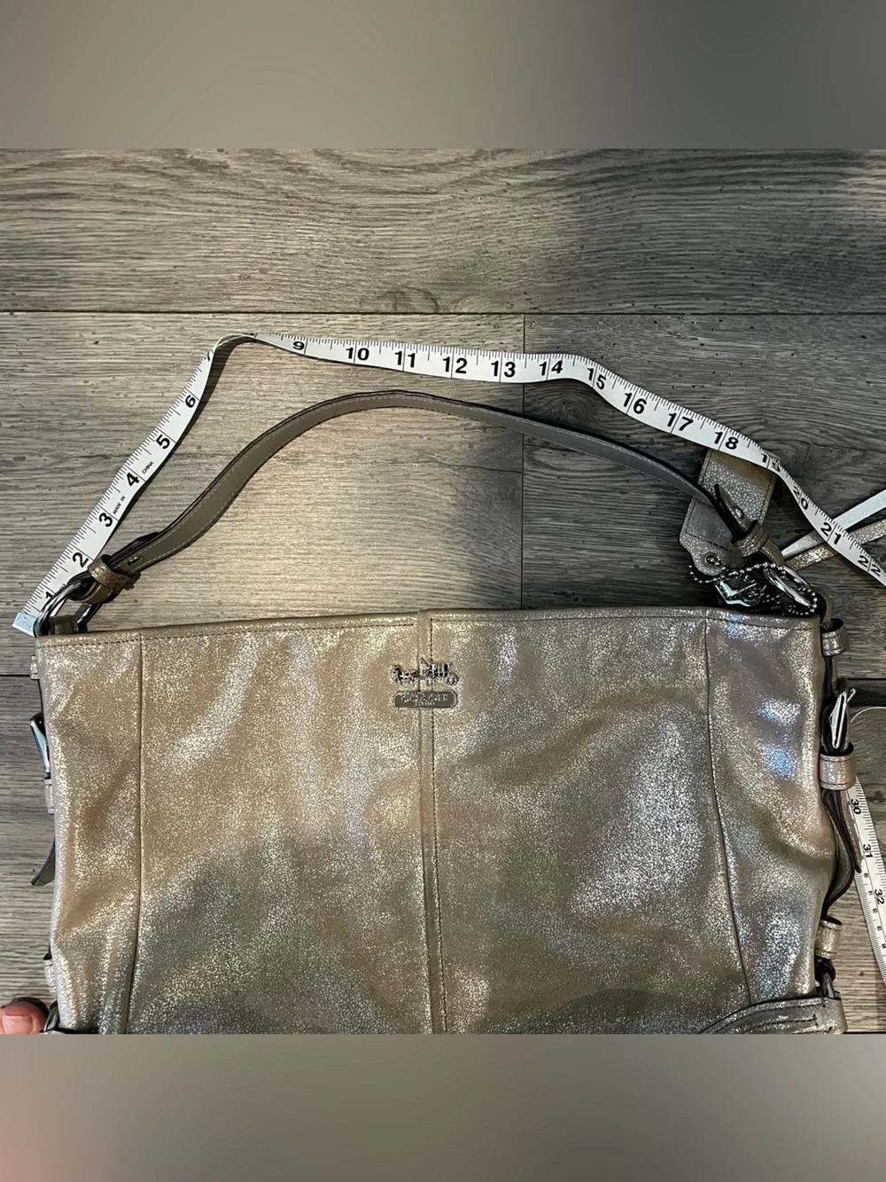 Coach Chelsea Metallic Leather Katarina Shimmer Hobo Shoulder Bag Champagne